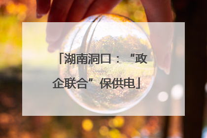 湖南洞口：“政企联合”保供电